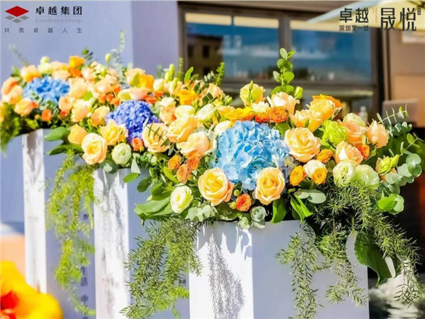 深圳开业庆典，点亮梦想的盛宴